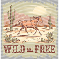 Country music-CU 322